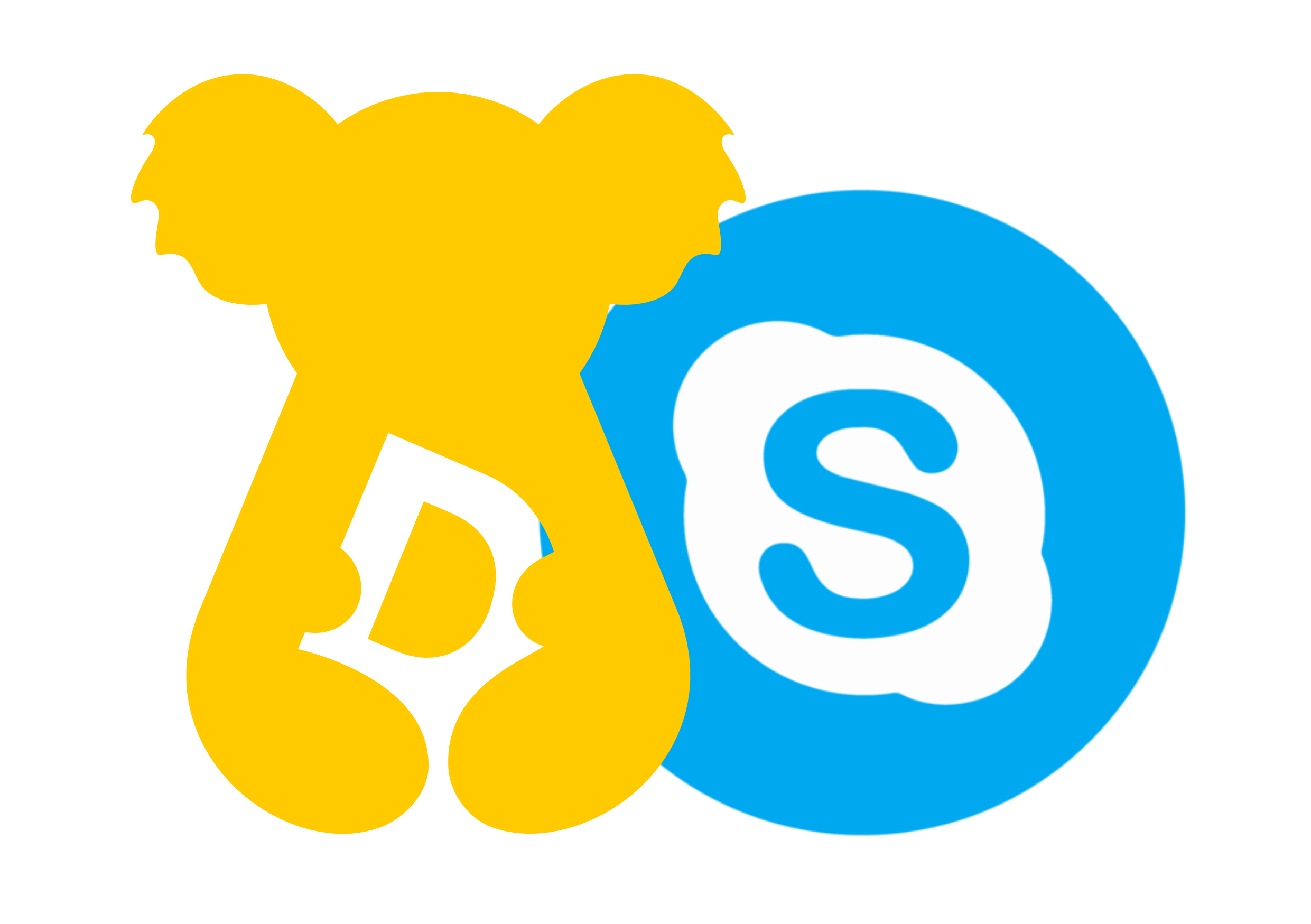 The Dream Skype